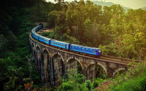 Sri Lanka - podróż wśród herbacianych pól (21).jpg